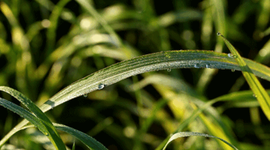 610cf265d029a.png 微信圖片_20210806162546.png